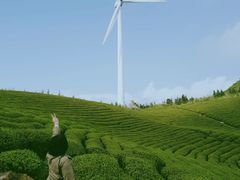 -东白山