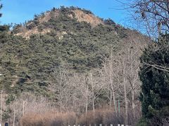 -棒棰岛宾馆景区