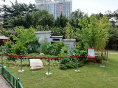 景点-紫荆山公园