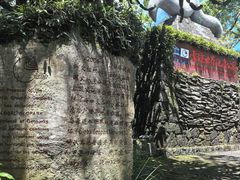 -海口火山口国家地质公园