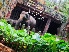 -长鹿旅游休博园