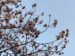 -三里河公园
