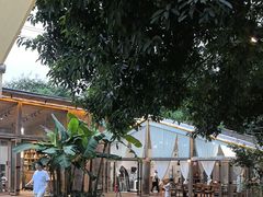 -柠檬花院烤肉·会议团建·聚会·求婚(三圣乡店)