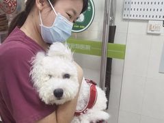 -瑞鹏宠物医院·微创内窥镜·骨外科·牙科(翠竹分院)