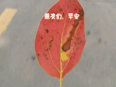 -四海公园(南山区)