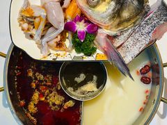 美蛙鱼头鸳鸯锅-猫先生时尚火锅(桂平路店)