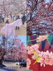 -盘子女人坊古装写真摄影(天津总店)