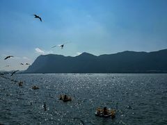 -海埂大坝