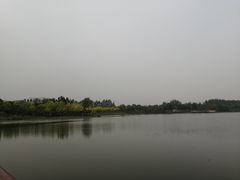 -东郊湿地公园