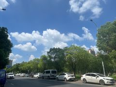 -祥源·阜阳生态乐园