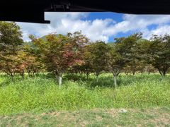 -云漫湖生态度假公园