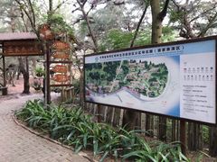 -北海金海湾红树林生态旅游区