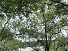 -上海野生动物园
