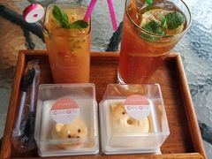 -柴犬高等学院·狗咖·柴犬售卖·宠物训练