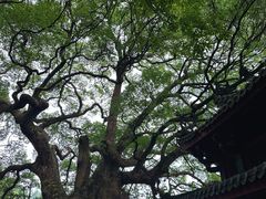 -安溪清水岩