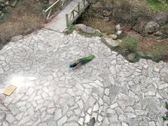 -苏州环秀晓筑养生度假村