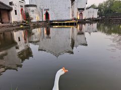 -呈坎景区