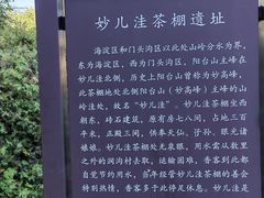 -阳台山自然风景区