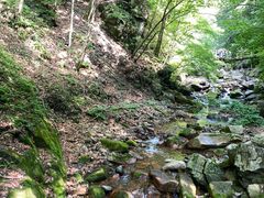 -本溪汤沟绿石谷森林公园
