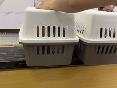 -虹泰宠物医院 ·旗舰店·24h(南秀路店)