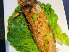 -东江海鲜大排档·潮汕菜·砂锅粥