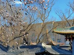 -碑林公园