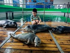 -西霞口神雕山野生动物世界