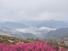 -石潭村