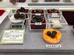 -北京中医药大学-中医药博物馆