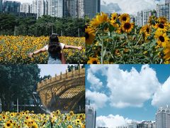 -海心沙亚运公园