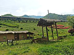 -牛背梁国家森林公园