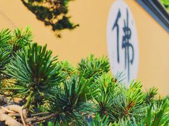 -狼山风景名胜区