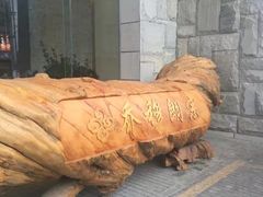 -日喀则乔穆朗宗酒店