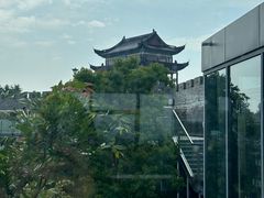 -黄贤森林公园