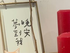-猫里有甜