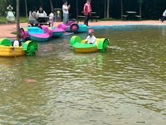 -西部长青自然儿童乐园