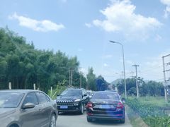 -将军关探险漂流