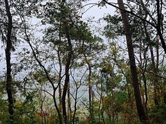 -南京金牛湖风景区