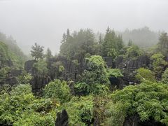 -梭布垭石林景区