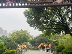 -徽园