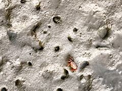 -北海金海湾红树林生态旅游区