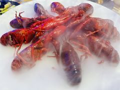 -红盔甲·小龙虾(车公庙店)