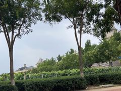 -北京张裕爱斐堡酒庄