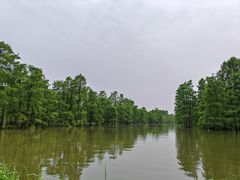 -池杉湖湿地公园