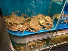 帝皇蟹-蟹田居·活蟹料理(东城店)