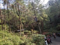 -梦幻奥陶纪景区