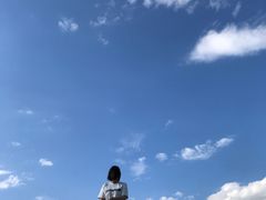 -乌兰布统草原