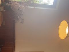 -又至园精品咖啡馆(将军塘店)