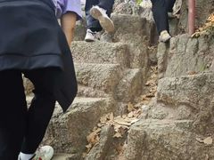 -吉林市朱雀山国家森林公园