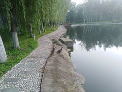 -中家鑫园温泉酒店鑫悦汤泉